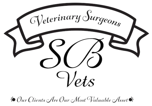 South Burnett Vets Logo